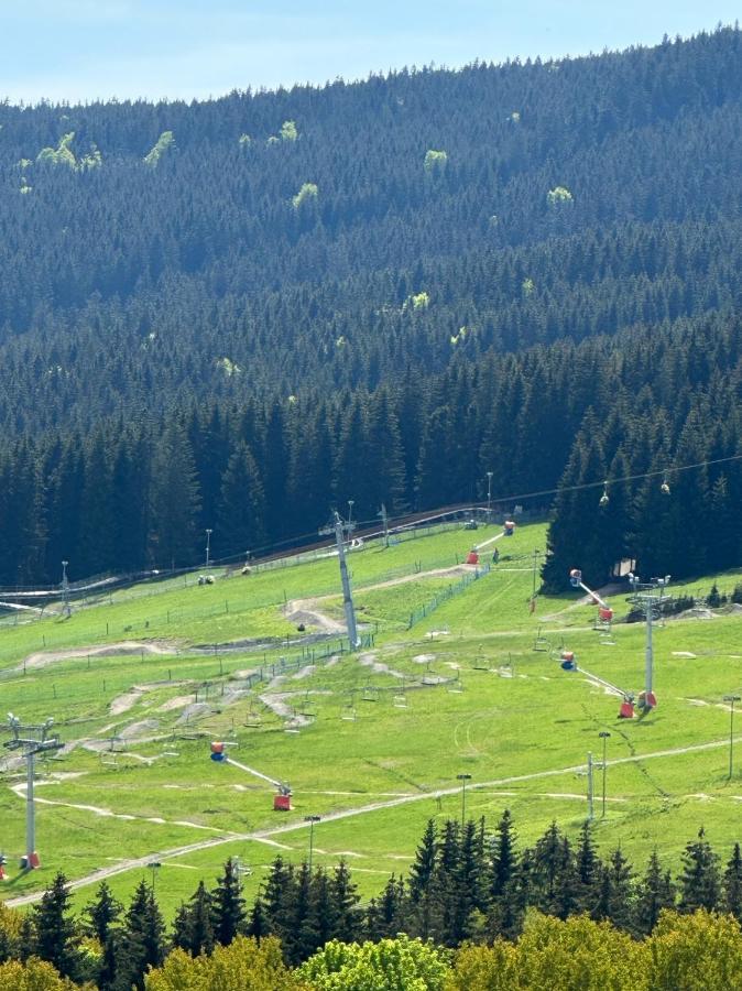 Mlynowiec 4Rest Stronie Slaskie Bagian luar foto
